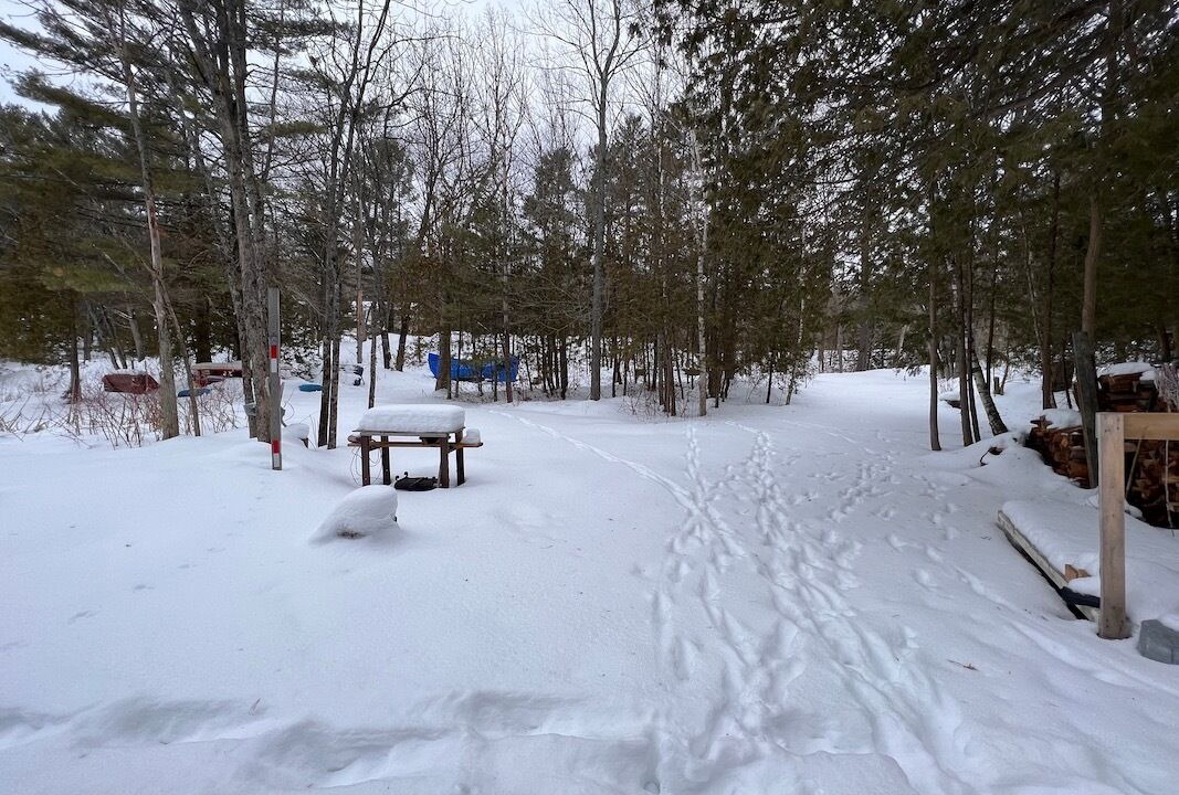 Photo of Others in Trent Lakes