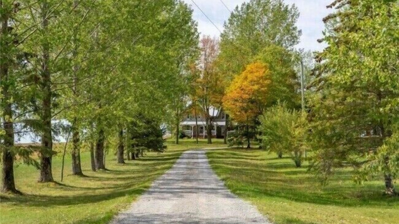 Photo of Outdoor in Kawartha Lakes