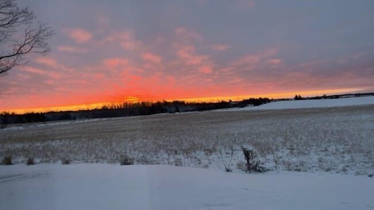 Photo of Outdoor in Kawartha Lakes