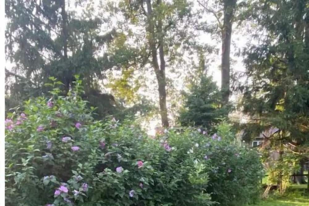 Photo of Outdoor in Wainfleet