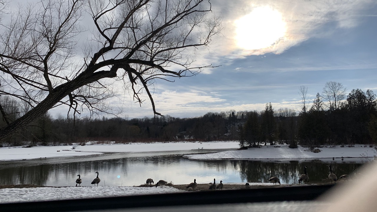 Photo of Outdoor in Owen Sound