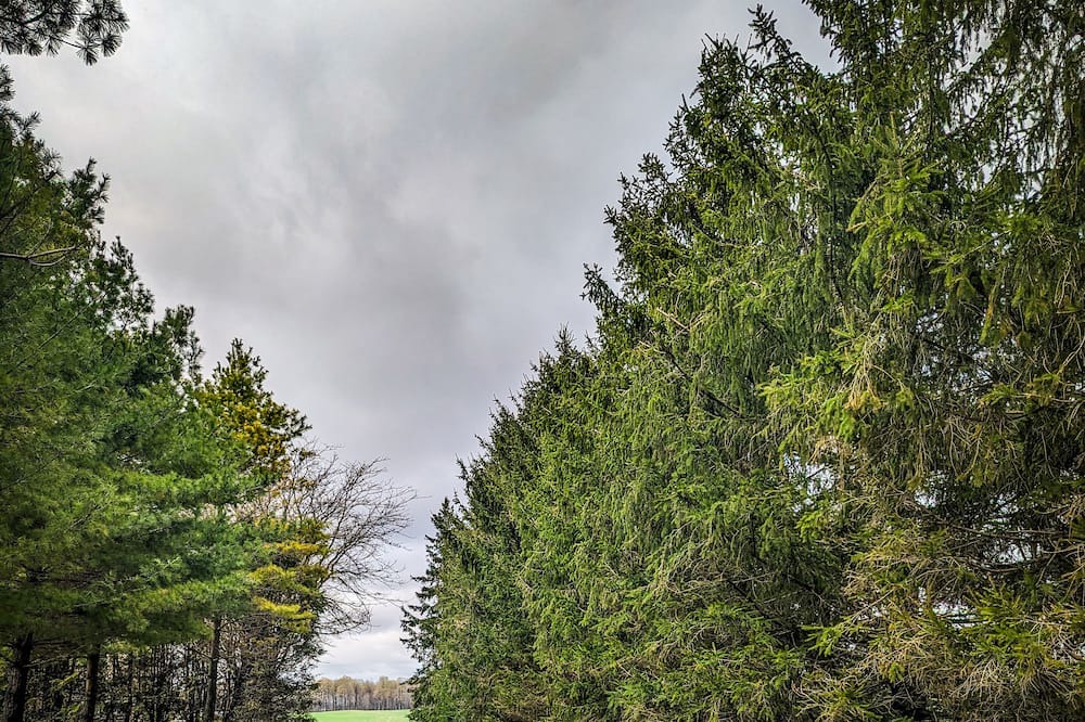 Photo of Outdoor in Howick