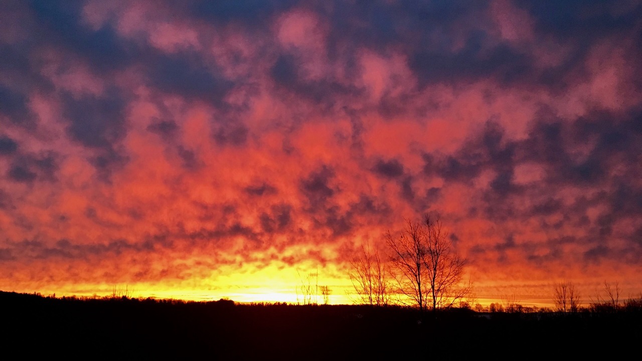 Photo of Outdoor in South Bruce