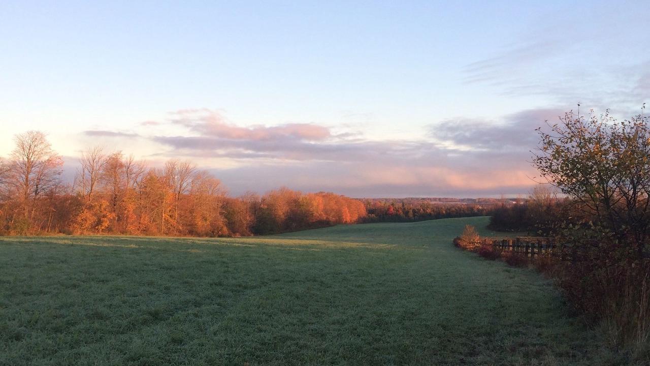Photo of Outdoor in South Bruce