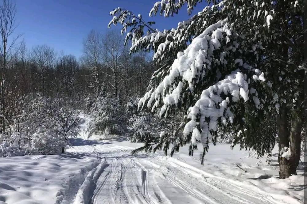 Photo of Others in Irondale