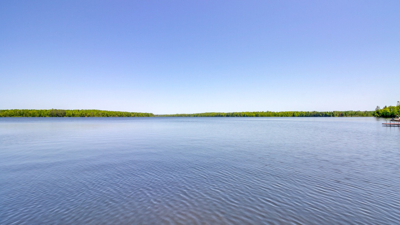 Photo of Others in Remer