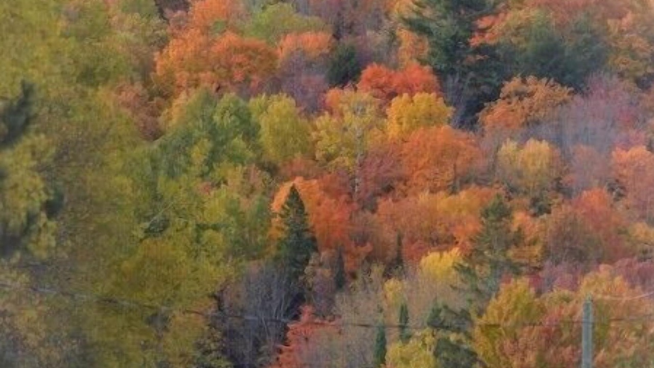 Photo of Others in Hastings Highlands