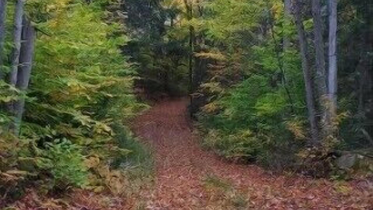 Photo of Others in Hastings Highlands