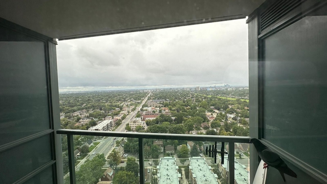Photo of Others in Willowdale