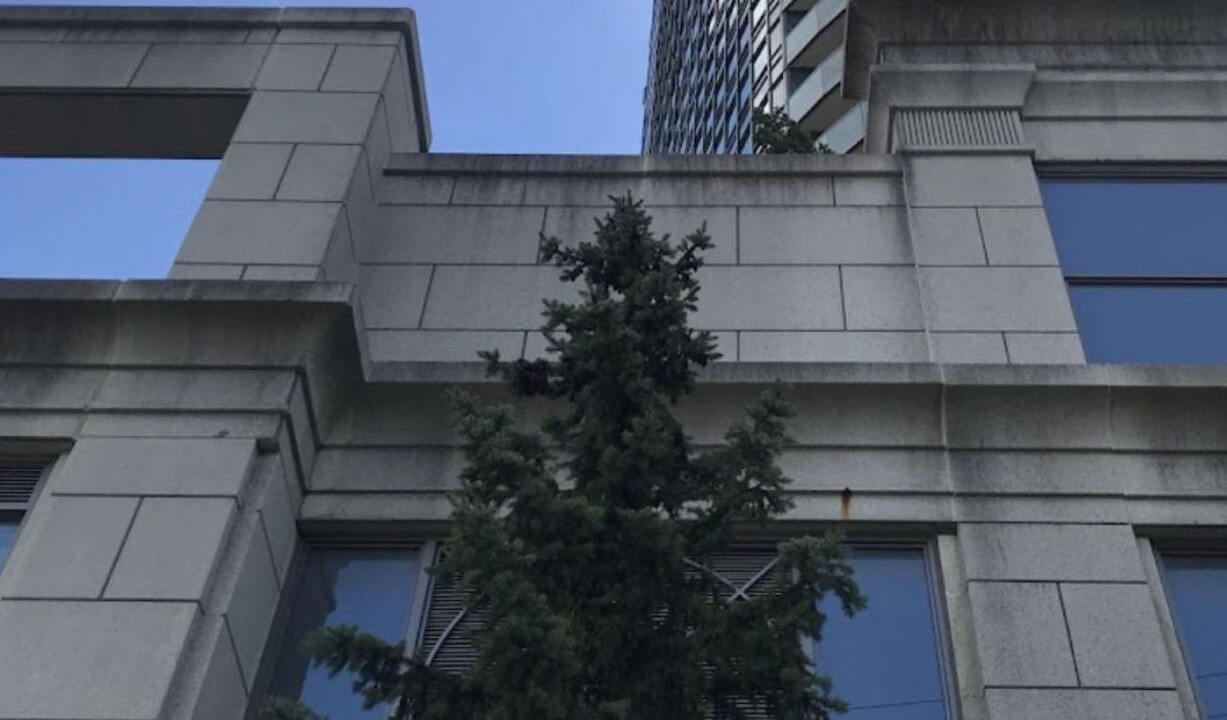 Photo of Outdoor in Willowdale
