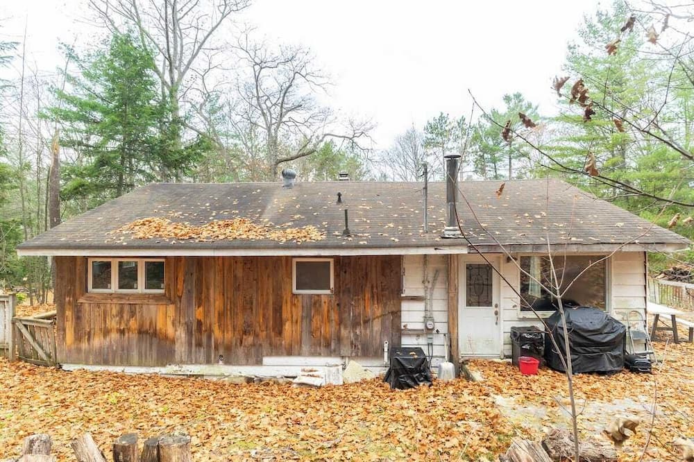 Photo of Outdoor in Tiny