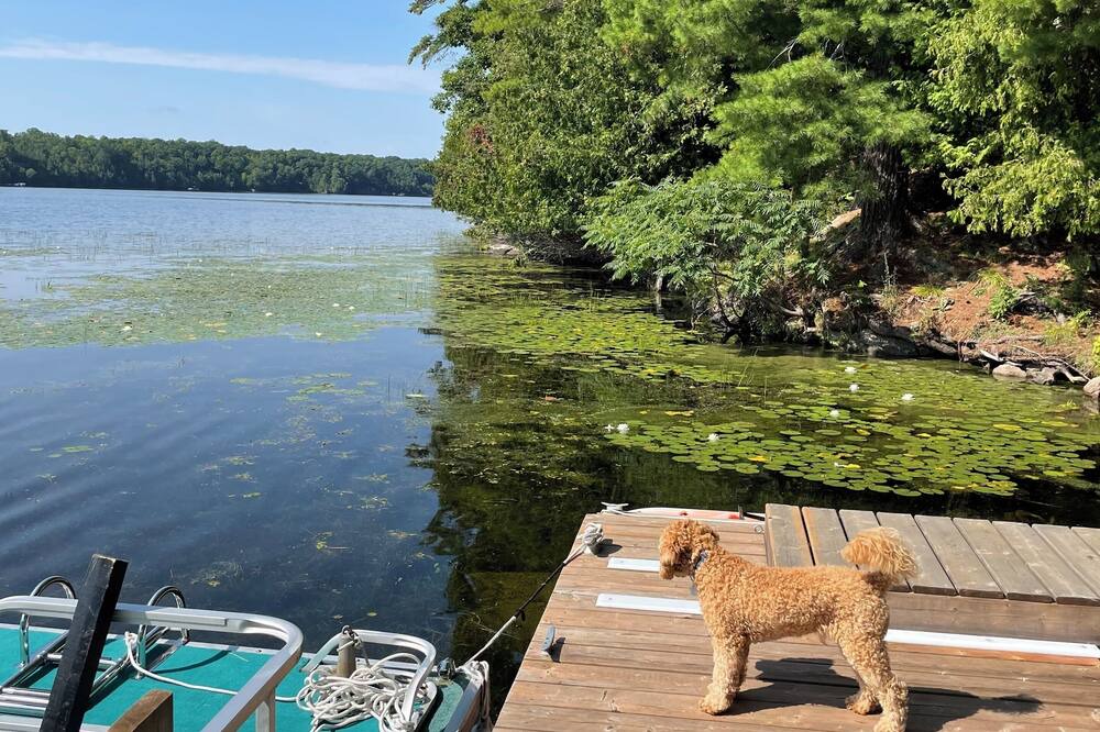 Photo of Outdoor in Rideau Lakes
