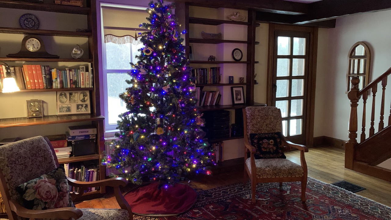 Photo of Livingroom in Algonquin Highlands