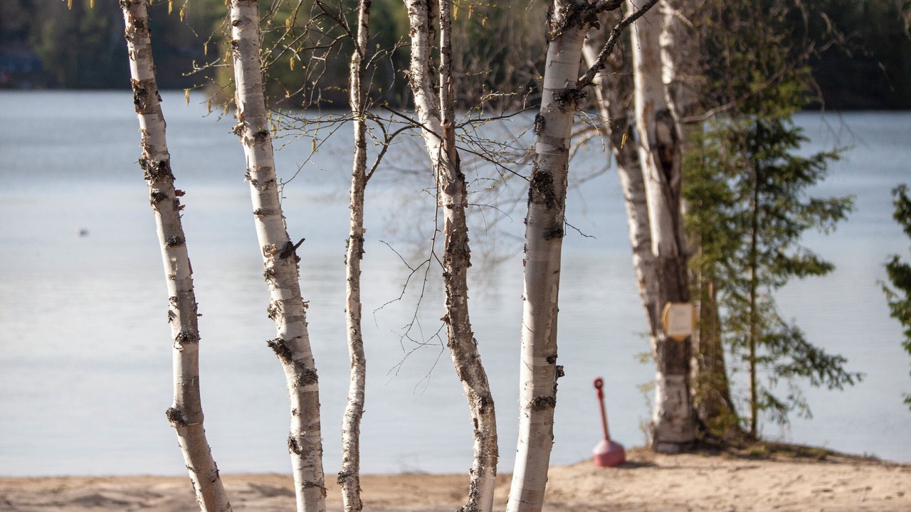 Photo of Outdoor in Scotia