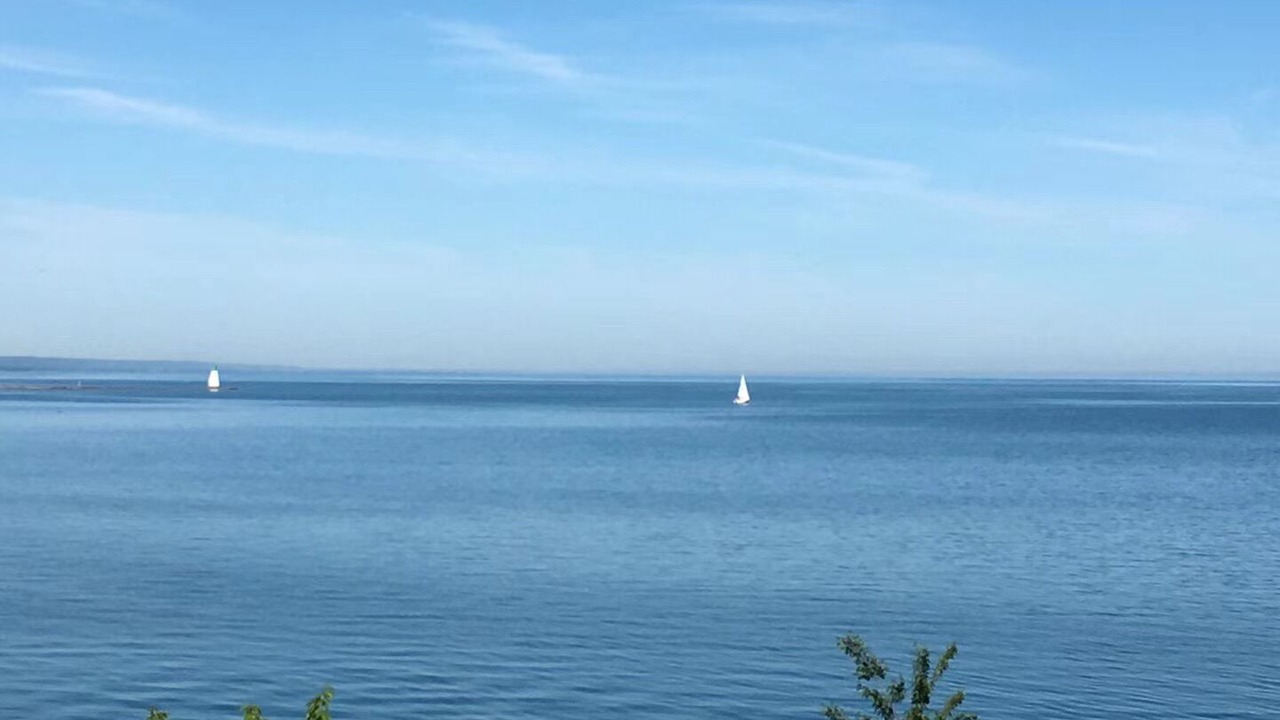 Photo of Others in Port Weller West