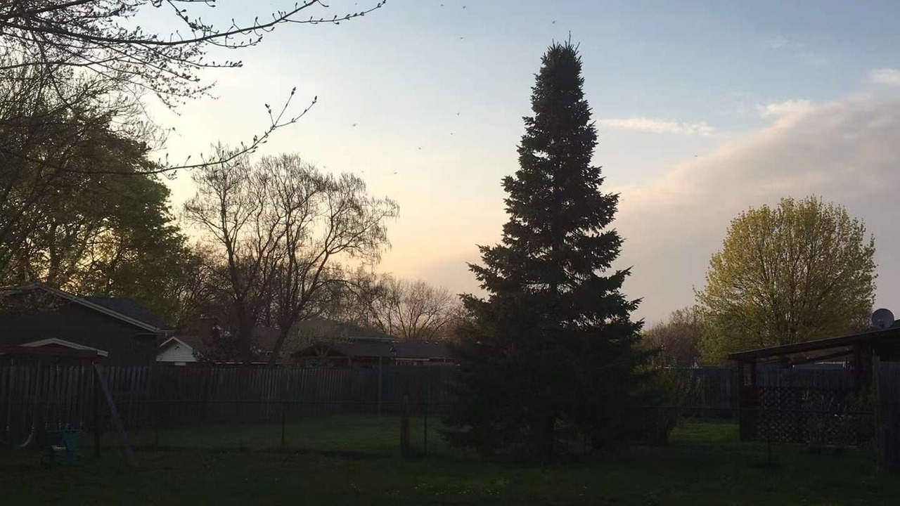 Photo of Outdoor in Port Weller West
