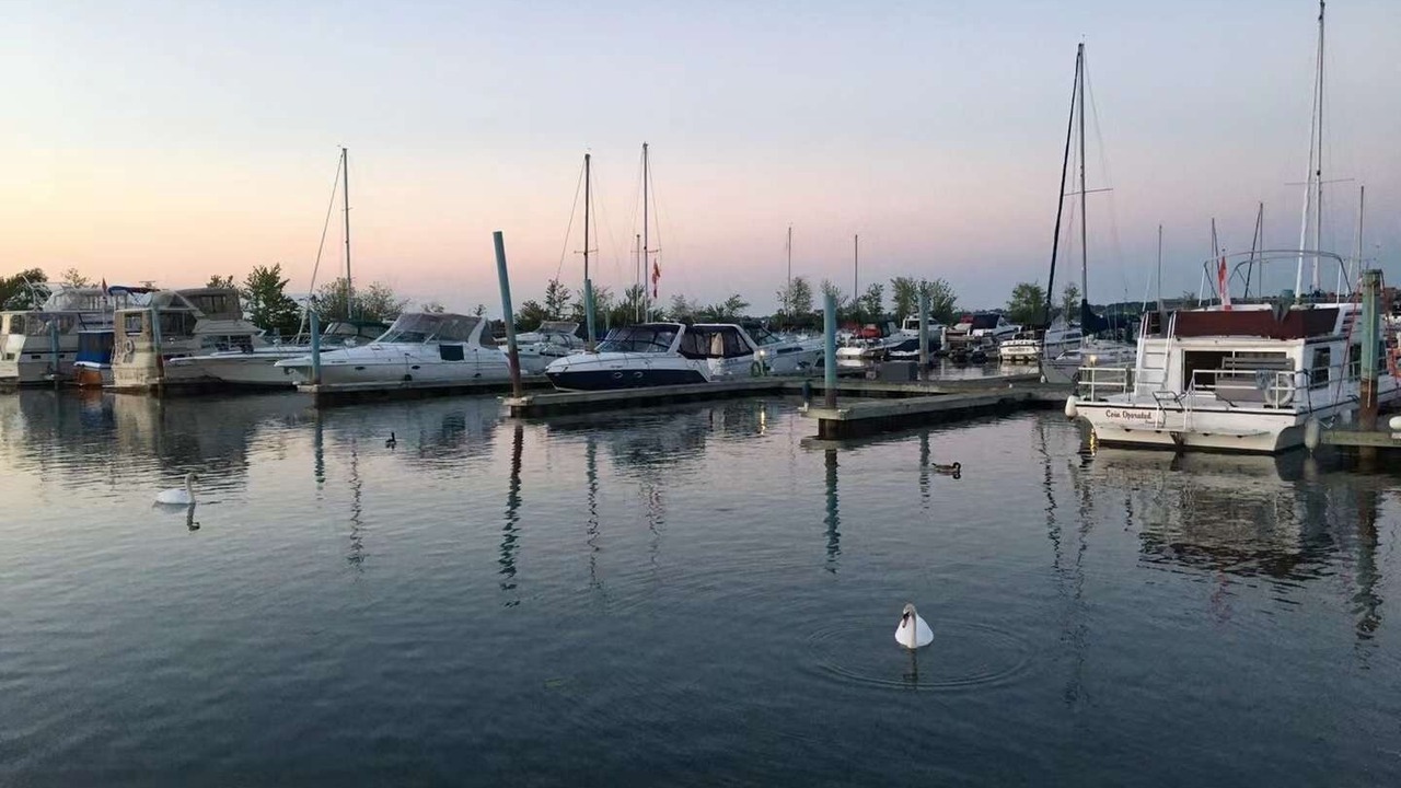 Photo of Others in Port Weller West