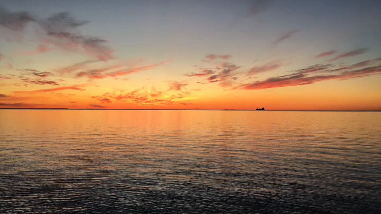 Photo of Others in Port Weller West