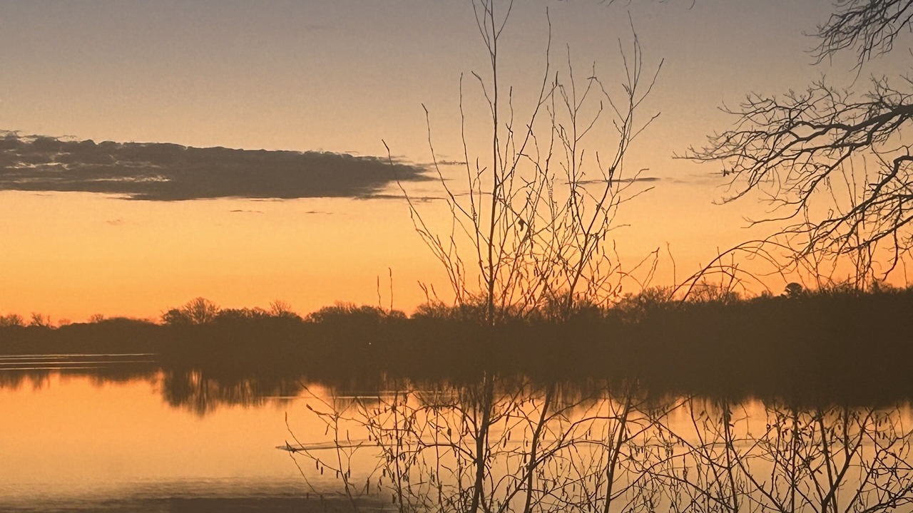 Photo of Others in Forest Lake