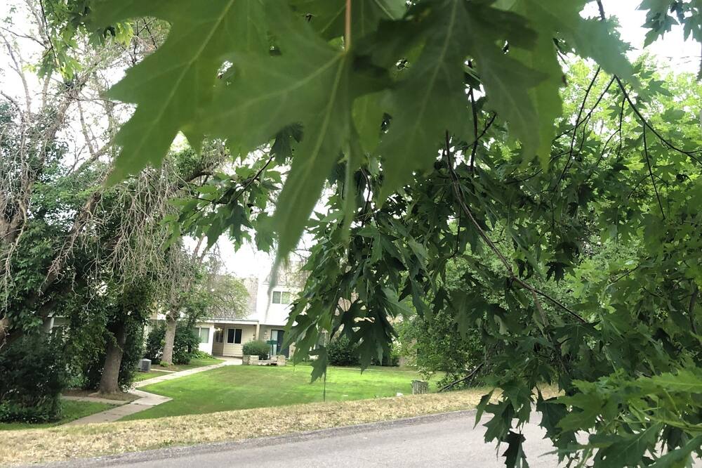 Photo of Outdoor in Edina