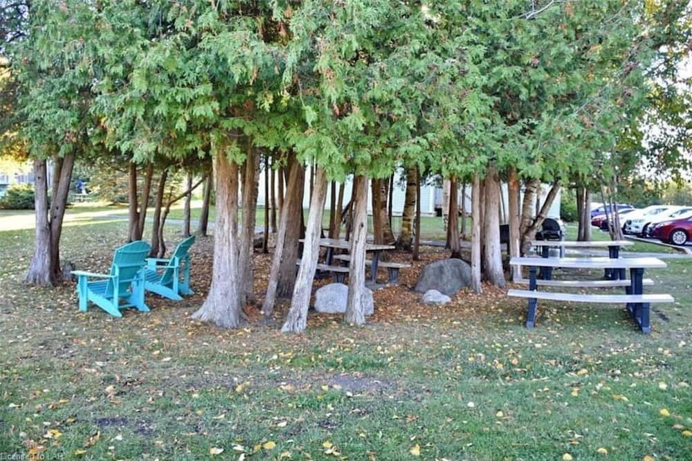 Photo of Outdoor in Collingwood