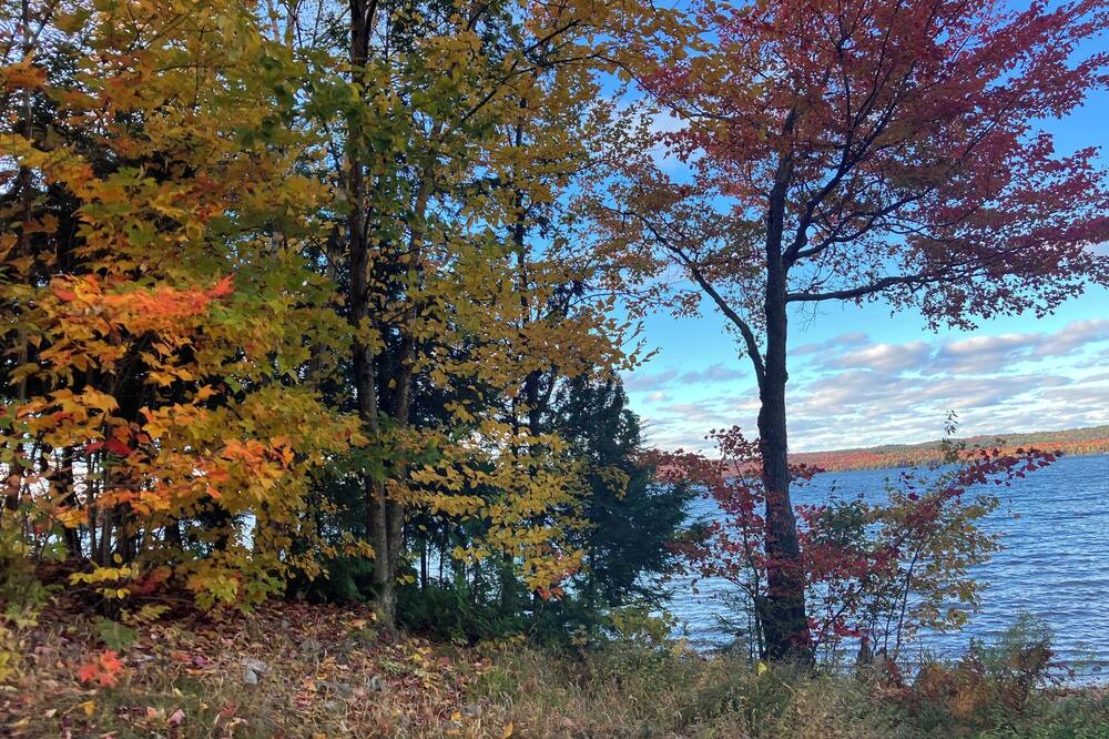 Photo of Others in Algoma District
