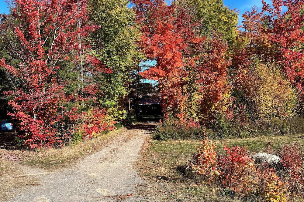 Photo of Outdoor in Algoma District