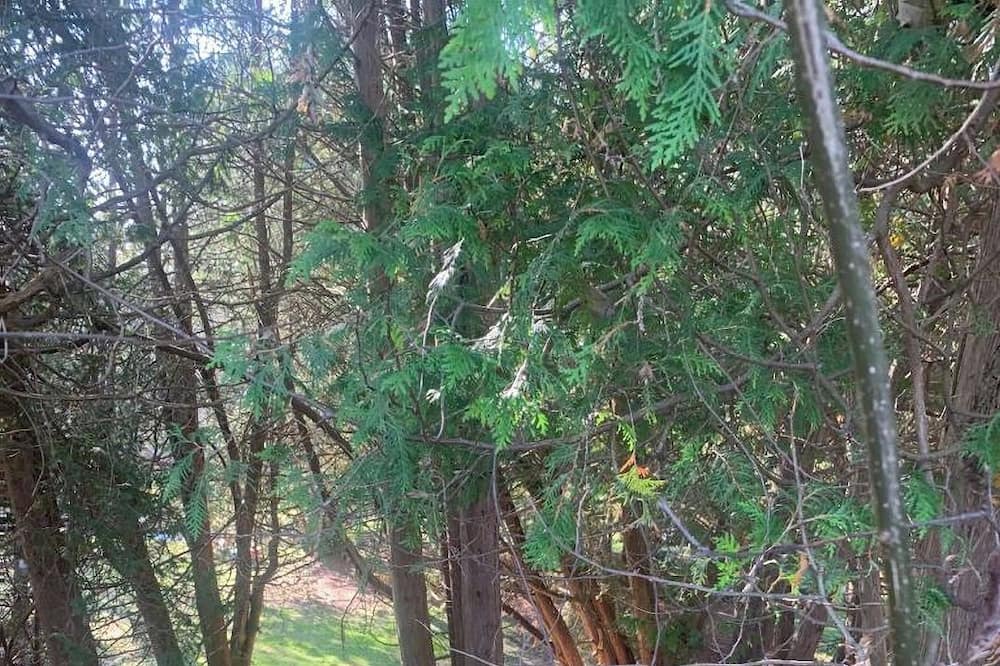 Photo of Outdoor in Whitby