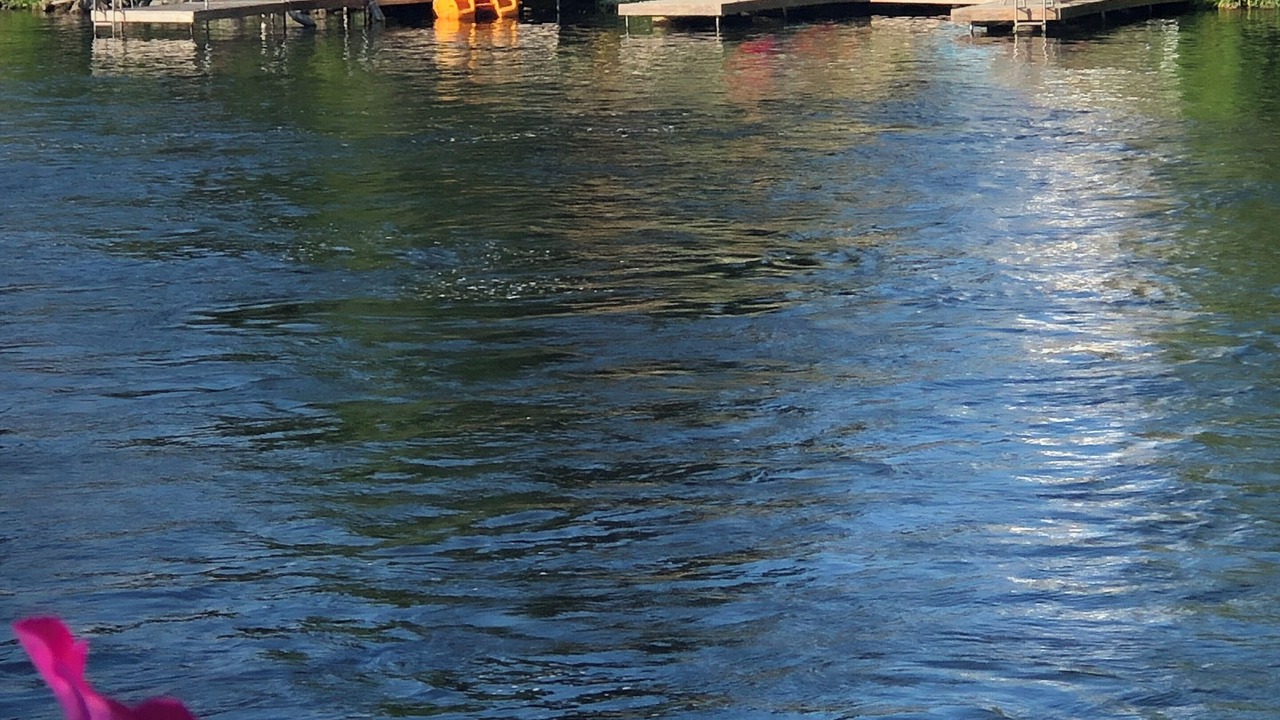 Photo of Outdoor in Coboconk