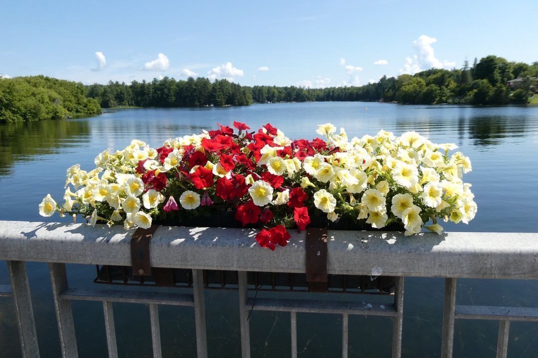 Photo of Outdoor in Coboconk
