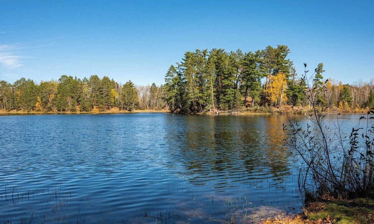 Photo of Others in Bigfork