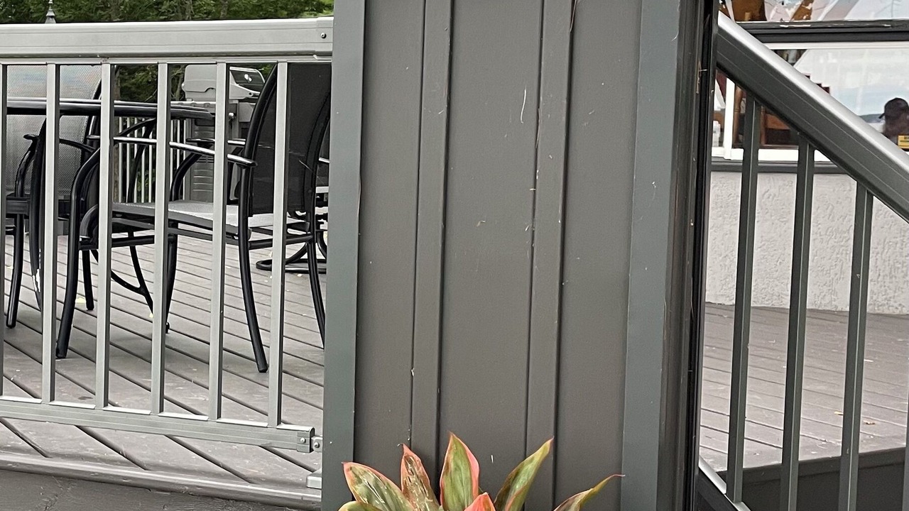 Photo of Outdoor in Victoria Road