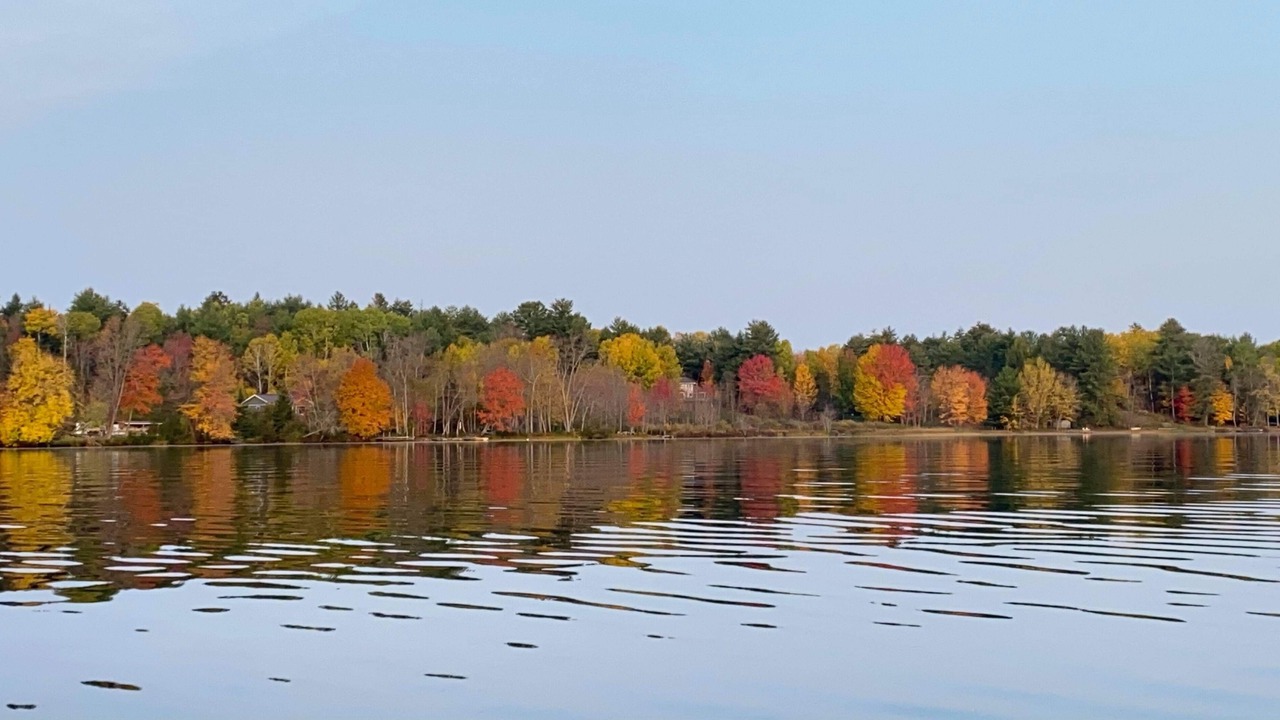 Photo of Others in Golden Lake