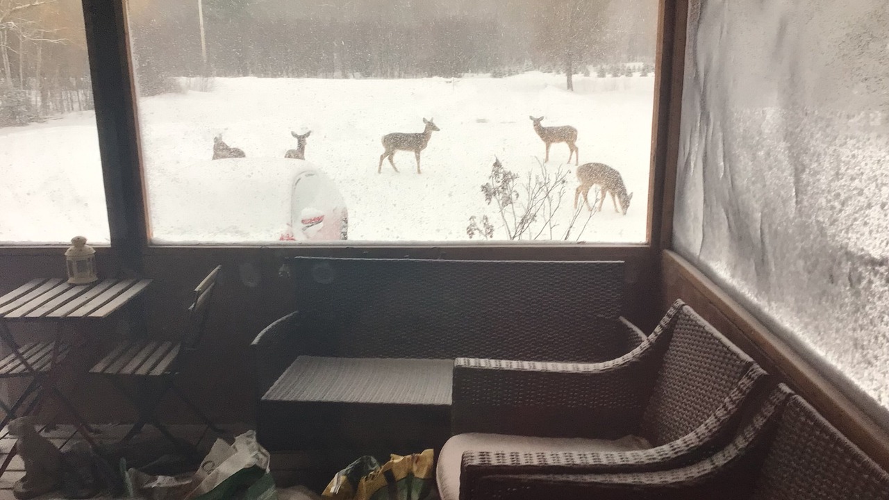 Photo of Others in Golden Lake