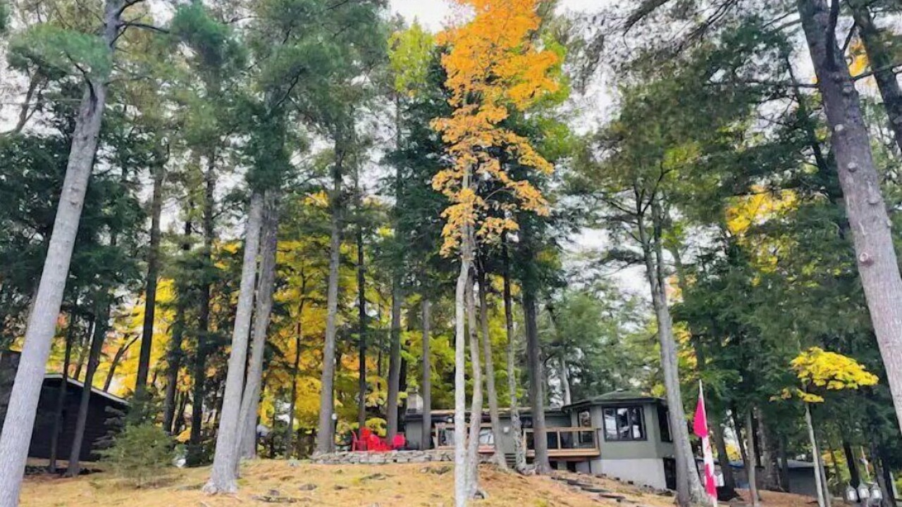 Photo of Outdoor in North Kawartha