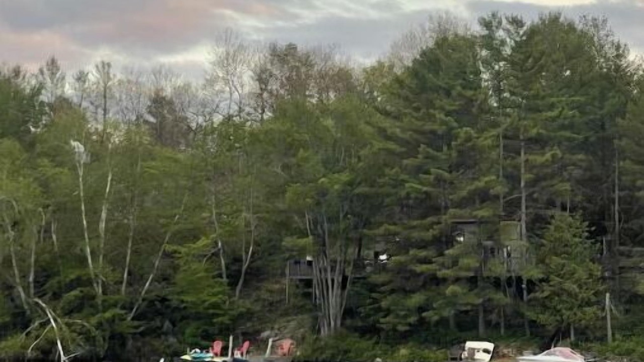 Photo of Others in Port Severn