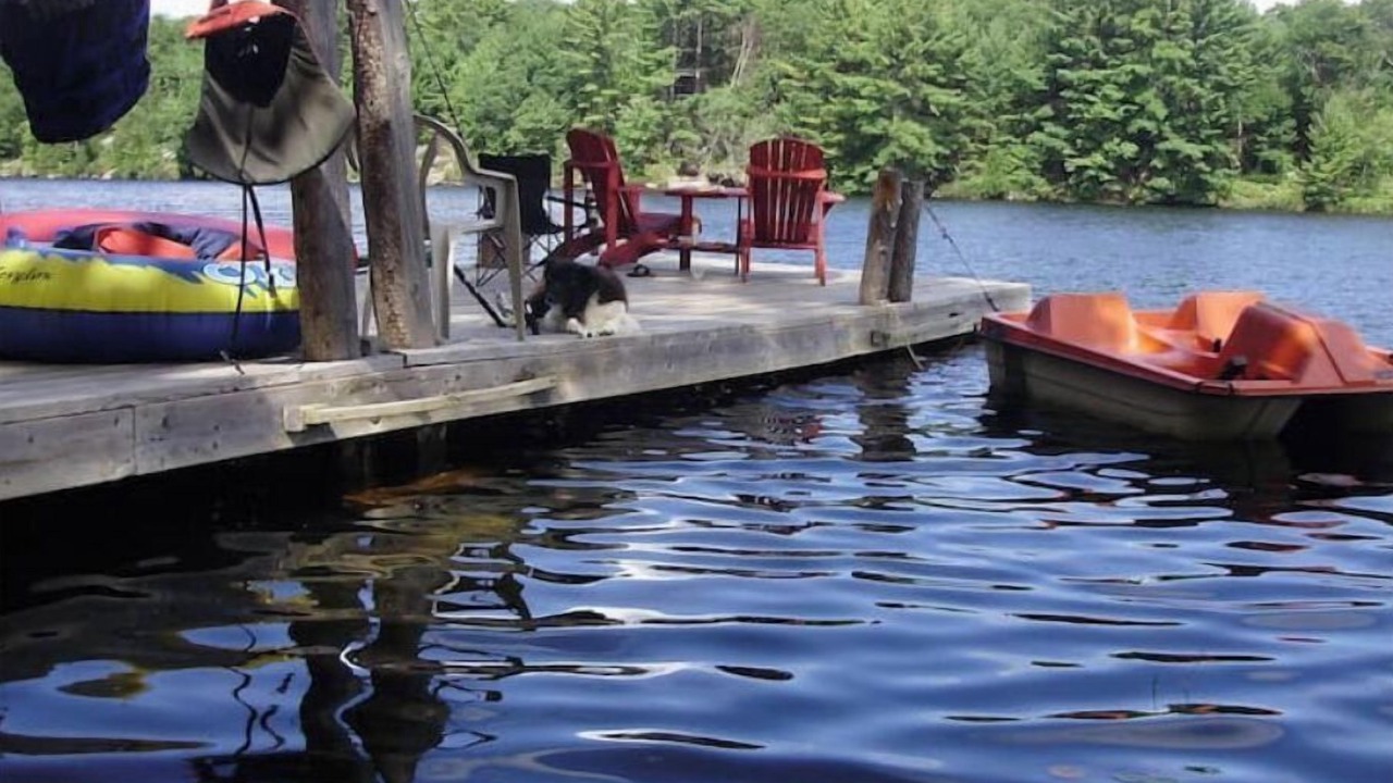 Photo of Outdoor in Port Severn