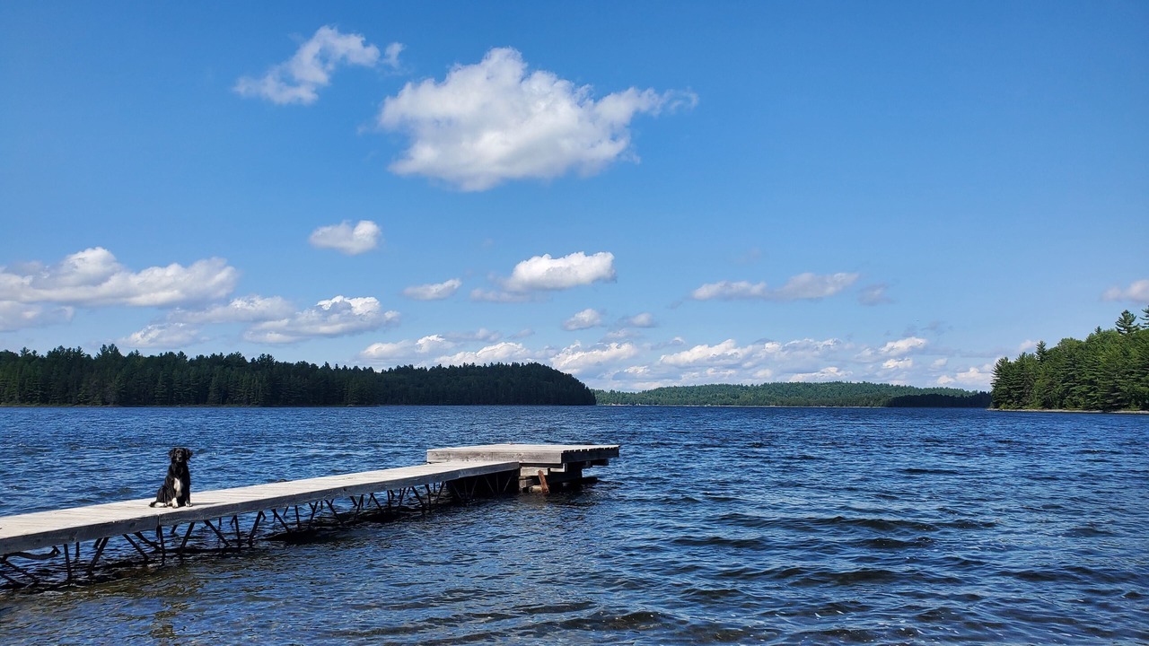 Photo of Others in Washagami