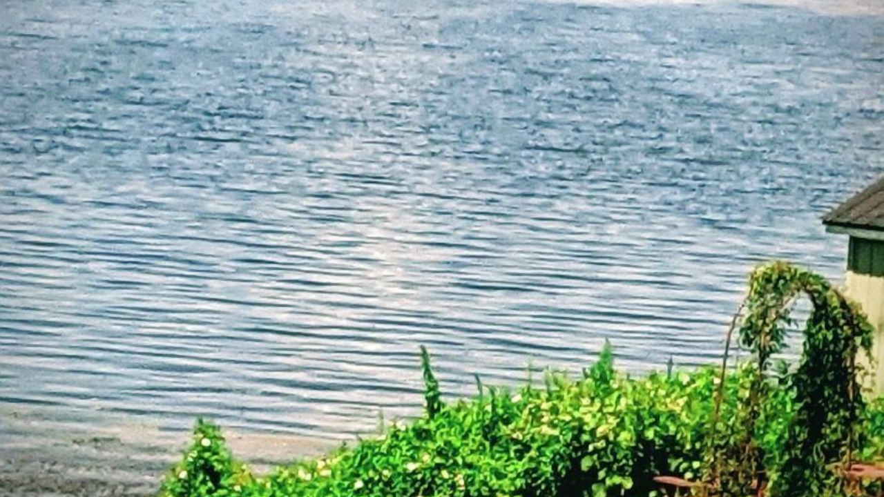 Photo of Outdoor in Roseneath