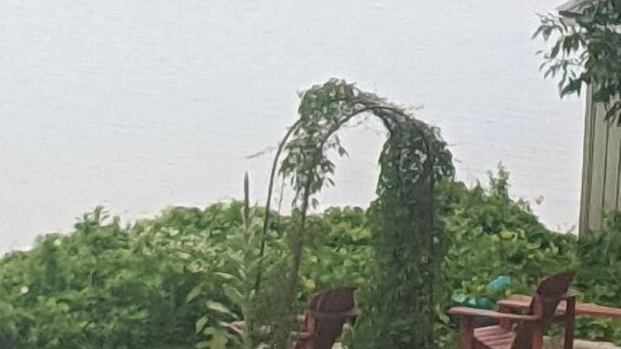 Photo of Outdoor in Roseneath