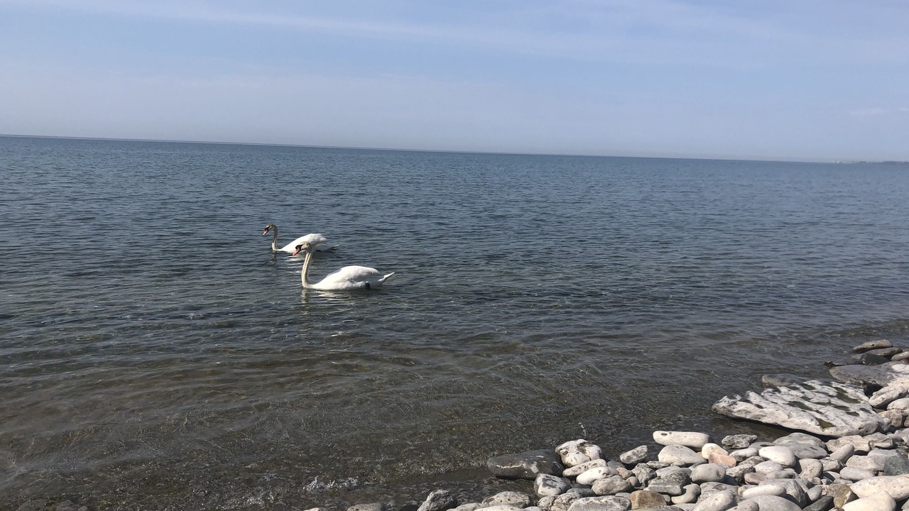 Photo of Others in Brighton