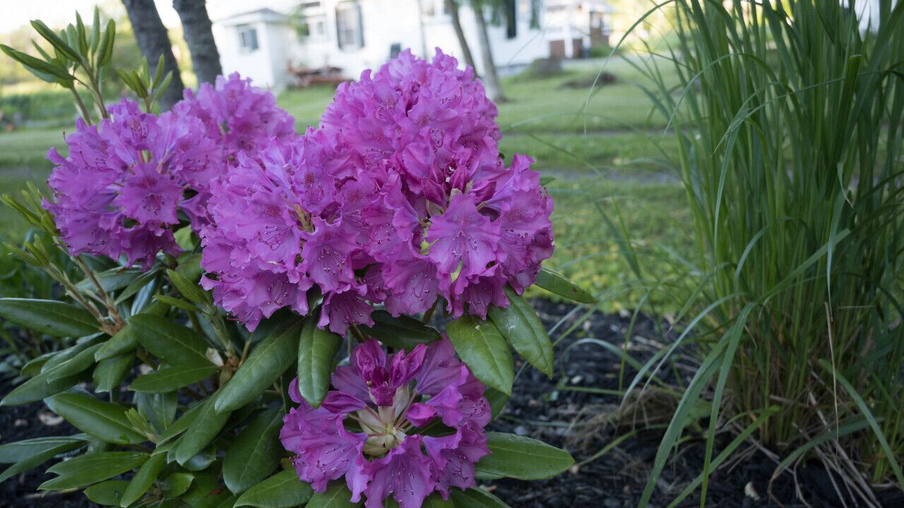 Photo of Outdoor in Wainfleet