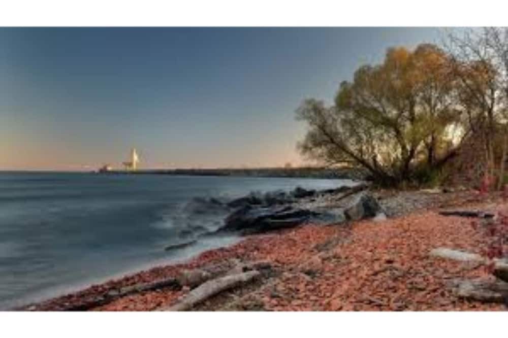 Photo of Others in Mississauga