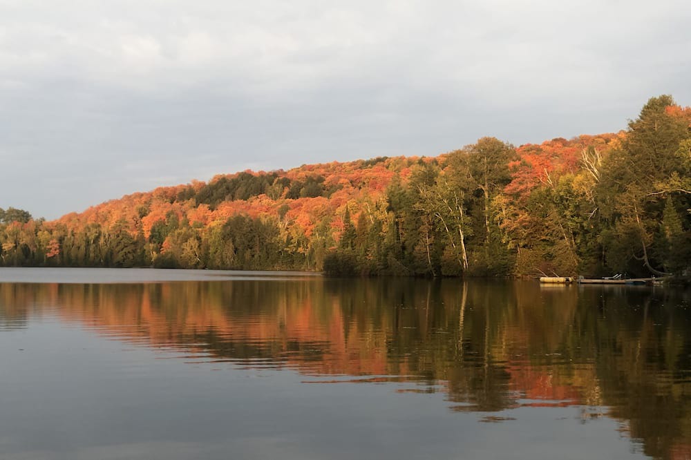Photo of Outdoor in Harcourt