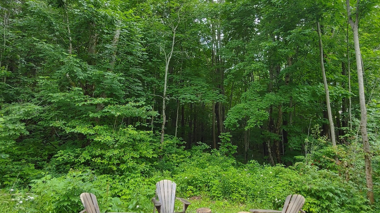Photo of Outdoor in Washago