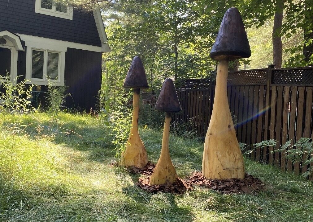 Photo of Outdoor in Washago