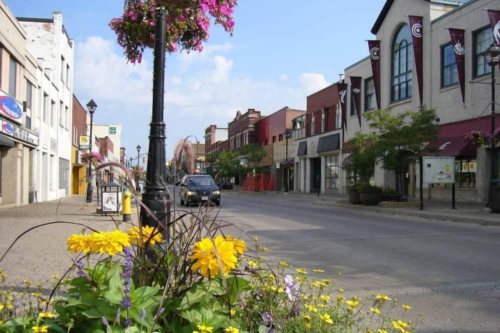 Photo of Outdoor in North Bay