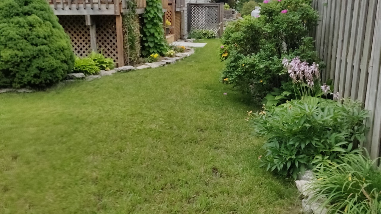 Photo of Outdoor in Bobcaygeon