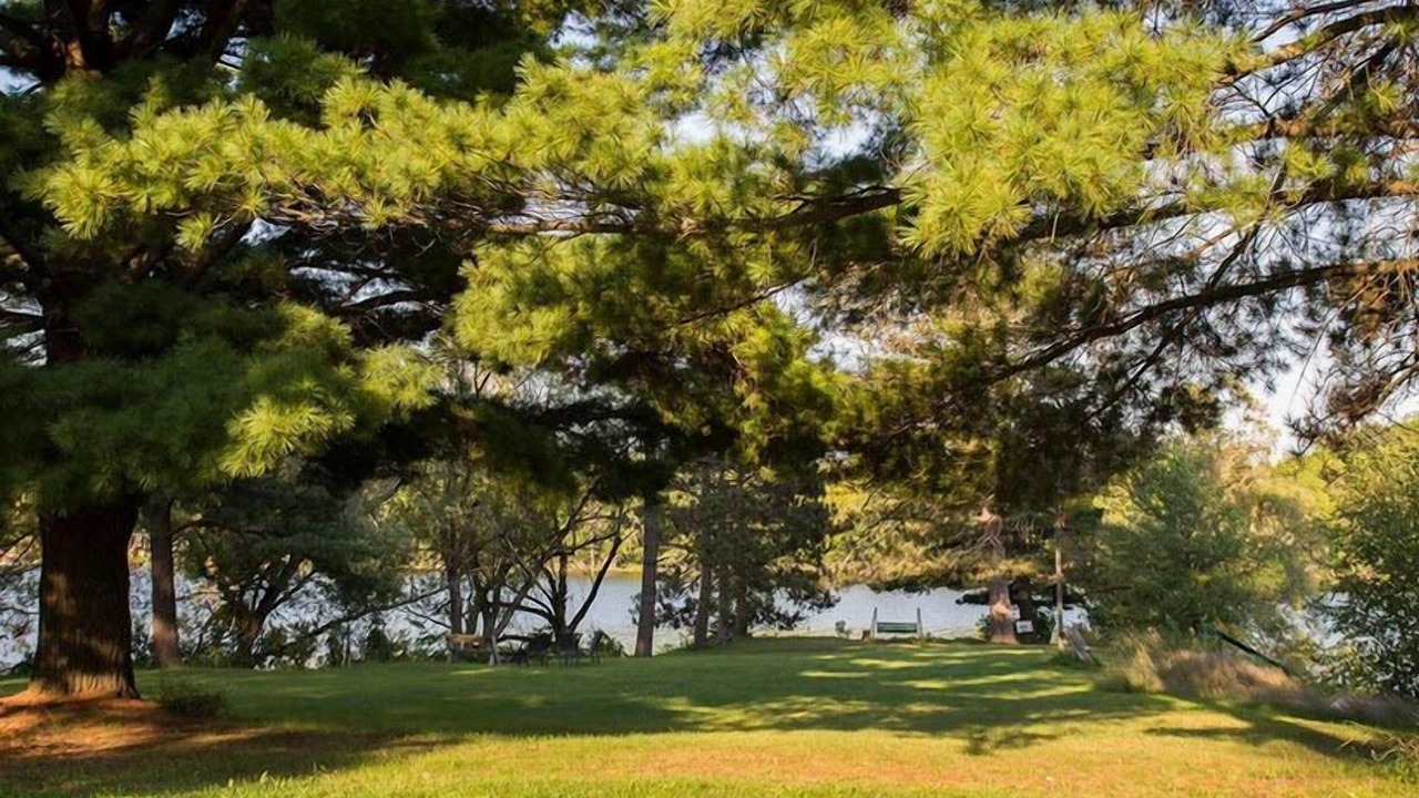 Photo of Others in Park Rapids