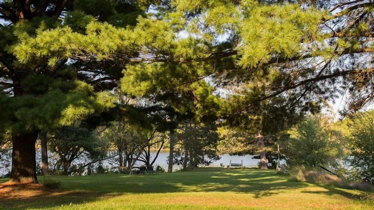Photo of Outdoor in Park Rapids